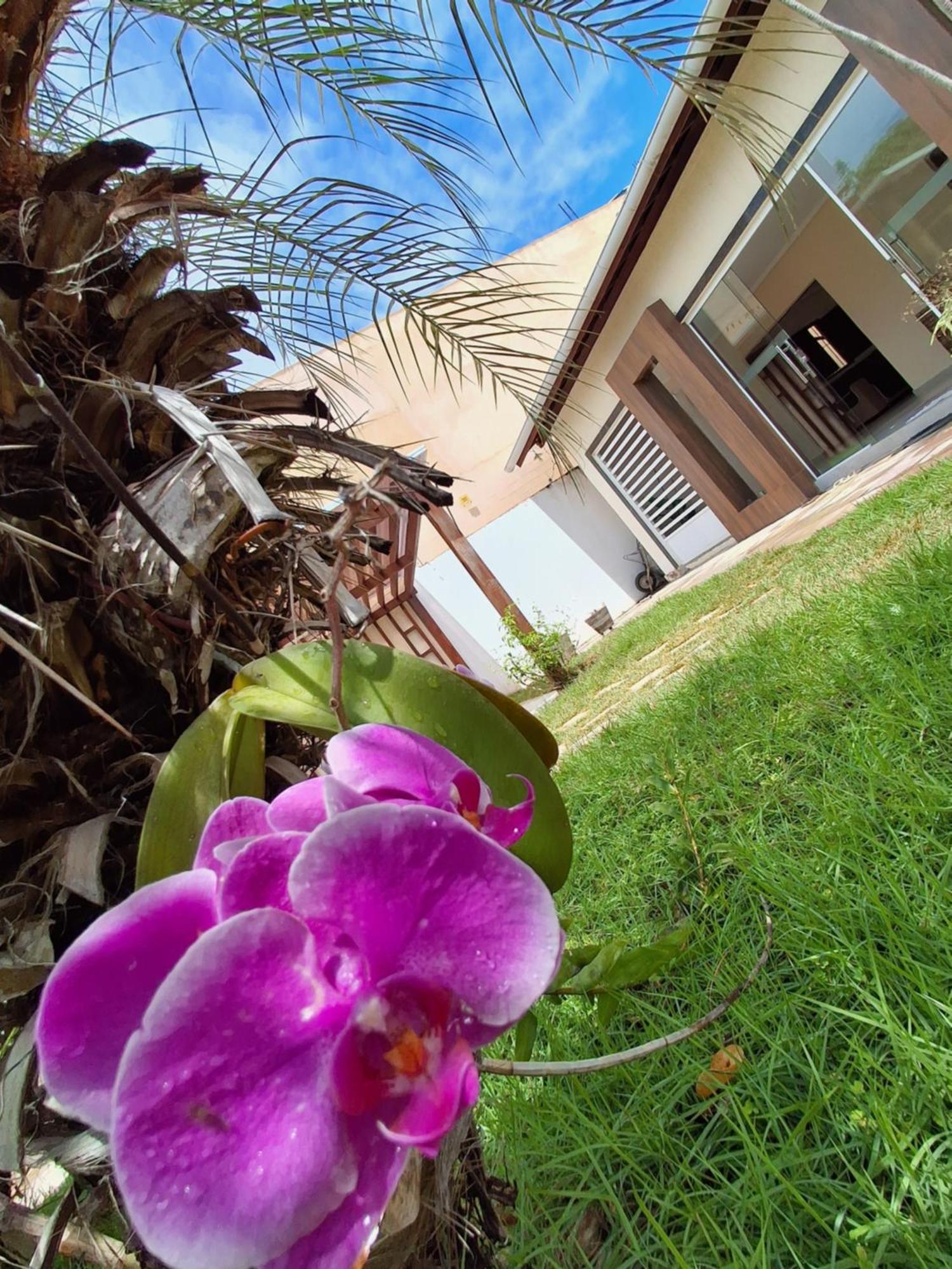 Casa Com Piscina Na Praia De Peroba מראגוג'י מראה חיצוני תמונה