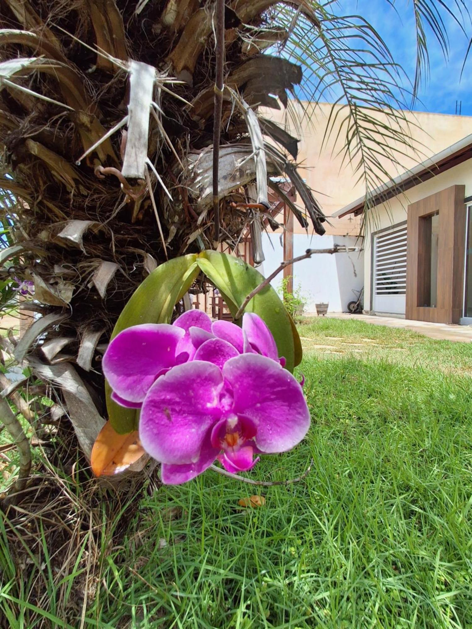 Casa Com Piscina Na Praia De Peroba מראגוג'י מראה חיצוני תמונה